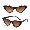 Sexy Cat Eye Triangle Sunglasses Retro Female Eyewear UV400 Sun Glasses Polarized Streetwear Trending Fashion Ladies Glasse