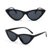 Sexy Cat Eye Triangle Sunglasses Retro Female Eyewear UV400 Sun Glasses Polarized Streetwear Trending Fashion Ladies Glasse