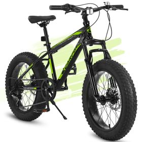 Ecarpat Kids Bike 20 Inch Wheels, 4" Wide Fat Tire Snow Mountain Bike Ages 8-12 Year Old, Steel Frame, 7 Speed Teenager Children Kids' Bicycles (Color: as Pic)